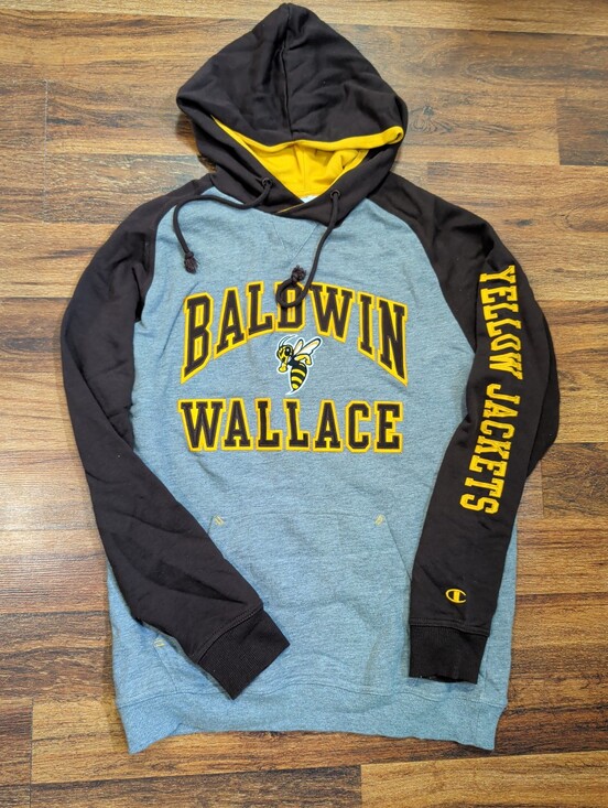 Champion Other - Champion Baldwin Wallace Yellow Jackets Gray and Brown Hooded Sweatshirt